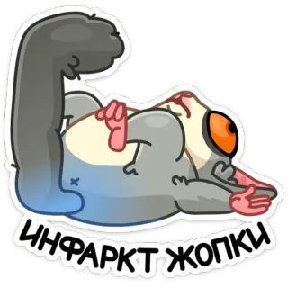 ⚰️ ИНФАРКТ ЖОПКИ animal, esquilo, desenho animado telegram sticker