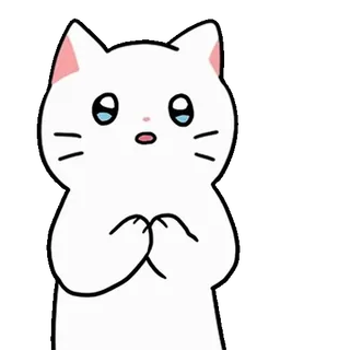 💬 gato, lindo, animal, dibujo animado, blanco, súplica whatsapp sticker