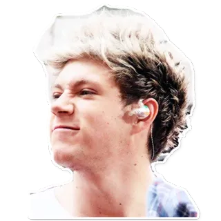 🤗 Niall Horan Niall Horan, chanteur, célébrité, One Direction, pop, musicien telegram sticker