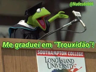 😀 Kermit Me graduei em "Trouxidão"! kermit, graduation, muppets, diploma, funny, meme telegram sticker