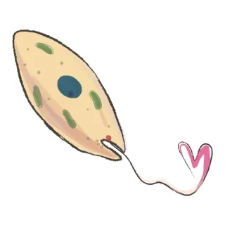 😘 biología, célula, organismo, protozoo, microorganismo, ciencia whatsapp sticker
