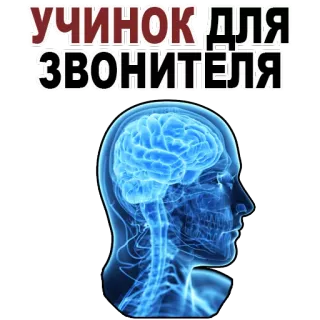 😱 УЧИНОК ДЛЯ ЗВОНИТЕЛЯ brain, head, call, intelligence, thought telegram sticker