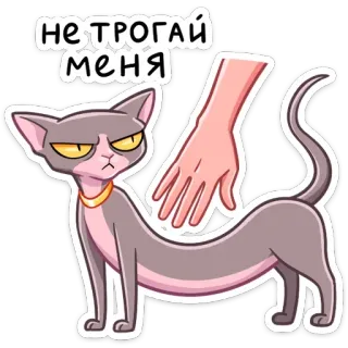 😡 НЕ ТРОГАЙ МЕНЯ cat, sphynx, do not touch, sticker, cartoon, animal telegram sticker