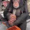 👷