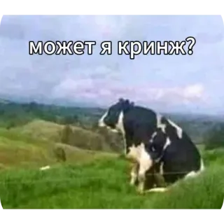 🐶 может я кринж? cow, meme, cringe, landscape, question telegram sticker