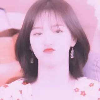 🐚 whatsapp sticker