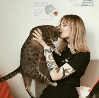 🐼 Frau, Katze, küssen, Haustier, Tattoos, Tier, Haustier telegram sticker