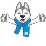 🤗 chó, husky, hoạt hình, mùa đông, khăn quàng cổ, động vật telegram sticker
