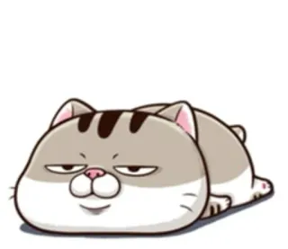 😴 Katze, Tier, süß, Cartoon, Aufkleber telegram sticker