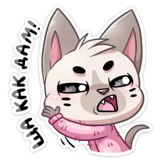 👊 KAK AAM! whatsapp sticker