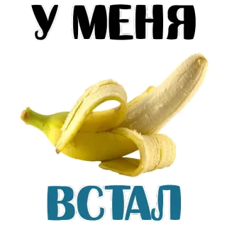 😍 УМЕНЯ
ВСТАЛ banana, fruta, russo, gíria, humor telegram sticker