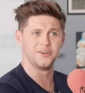🎸 Niall Horan cantor, celebridade, retrato, homem, pessoa, Niall Horan telegram sticker