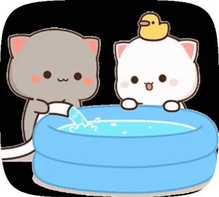 🥳 gatos, piscina, fofo, animais, desenho animado, kawaii, pato telegram sticker