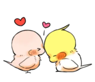 😘 oiseaux, amour, mignon, animaux, cockatiels, coeurs telegram sticker