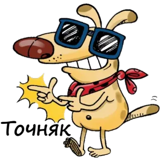 😎 cane, cartone animato, figo, che indica, occhiali da sole, bandana, animale whatsapp sticker