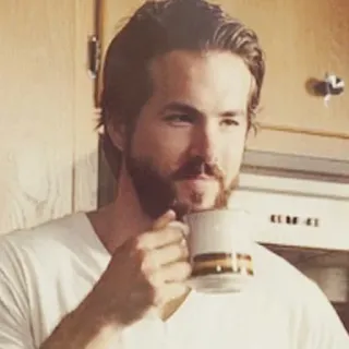 🔮 Ryan Reynolds aktor, kopi, selebriti, pria telegram sticker