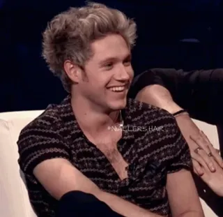 🥀 Niall Horan #NIALLERSHAIR Niall Horan, celebrity, singer, One Direction, music, hairstyle telegram sticker