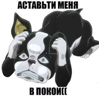 🤧 Iggy JoJo's Bizarre Adventure อนิเมะ, หมา, โจโจ้, สัตว์เลี้ยง telegram sticker