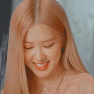 🌹 Rose kpop, rose, blackpink, cantante, idol, mujer whatsapp sticker