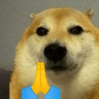 🐕 Cheems Doge meme telegram sticker