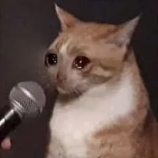 🎙 cat, microphone, crying, meme, emotional, sad whatsapp sticker