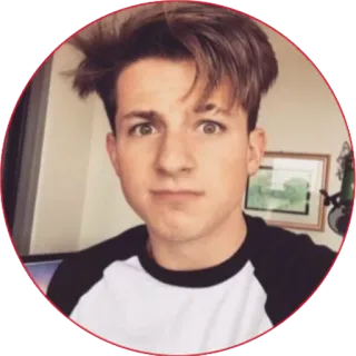 😳 Charlie Puth musician, singer, celebrity, portrait telegram sticker