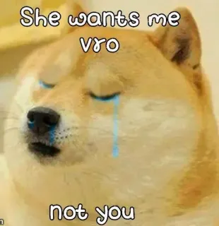 😌 Doge Doge Meme She wants me vro not you telegram sticker