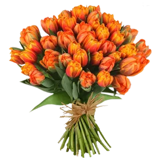 🌼 цветы, тюльпаны, оранжевый, букет, цветочный, композиция telegram sticker