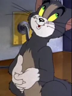 😁 Tom Cat Tom and Jerry dessin animé, chat, personnage, animal telegram sticker