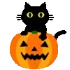 🐈⬛