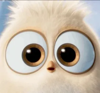 😳 schattig, vogel, ogen, cartoon, fluffy, animatie whatsapp sticker