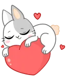 🥰 kat, hart, liefde, schattig, dier, sticker telegram sticker