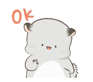 👌 OK милый, животное, ок, одобрение, мультфильм, шиншилла whatsapp sticker