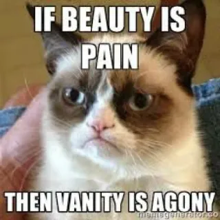 😆 Grumpy Cat IF BEAUTY IS PAIN THEN VANITY IS AGONY 表情包, 猫, 搞笑, 幽默, 暴躁, 讽刺, 美丽, 痛苦, 虚荣, 折磨 whatsapp sticker