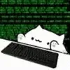 💻