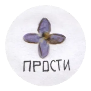 🧡 ПРОСТИ fleur, pardonner, excuse, russe, violet, autocollant whatsapp sticker