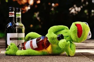 🍷 Kermit Kermit, frog, alcohol, wine, drinking telegram sticker