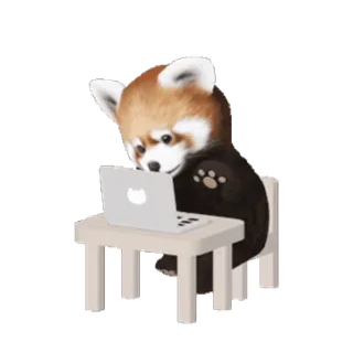💻 Panda, Panda rosso, Laptop, Computer, Animale, Carino telegram sticker