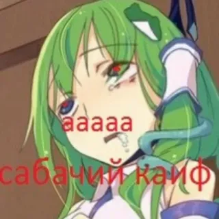 🥴 aaaaa
сабачий кайф anime, cartoon, screaming, text, russian telegram sticker