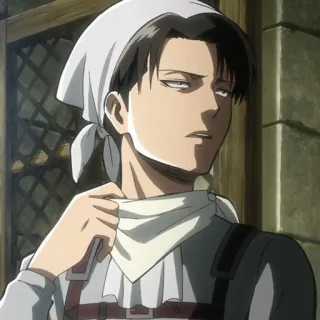 ☁️ Levi Ackerman Attack on Titan anime, manga, levi, attack on titan, character, cleaning, headscarf telegram sticker