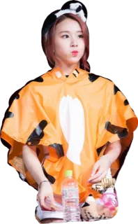 🐯 donna, costume da tigre, coreano, idol, ritratto telegram sticker