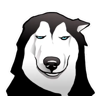 😠 chó, husky, tự mãn, meme, động vật telegram sticker