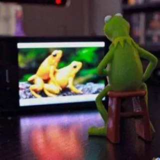 💩 Kermit frog, kermit the frog, animal, meme telegram sticker