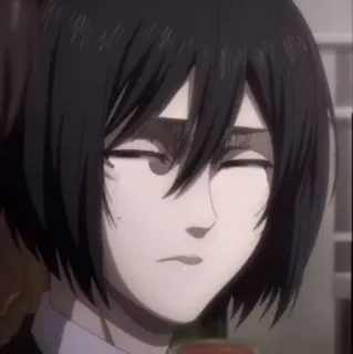 🖤 Mikasa Ackerman Attack on Titan 미카사, 아커만, 진격의 거인, 애니메이션, 캐릭터, 슬픈 telegram sticker