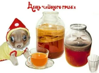 🍄 День Чайного гриба kombucha, tea, fungus, mushroom, beverage, pet telegram sticker
