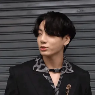 🕸 Jungkook kpop, bts, cantor, ídolo, asiático, masculino, retrato telegram sticker