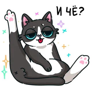 🐱 И ЧЁ? telegram sticker