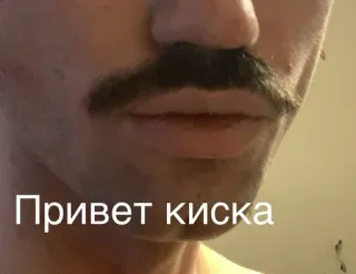 😼 Привет киска man, mustache, hello kitty, russian whatsapp sticker