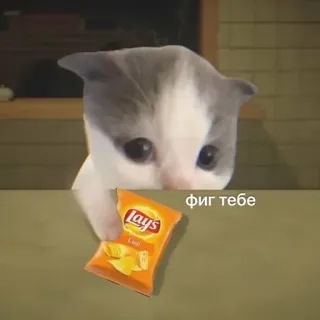 Больше стиков тут: @stikery4 whatsapp stickers