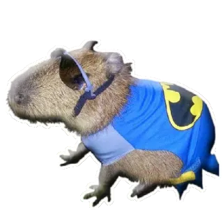 😎 kapibara, Batman, zwierzę, okulary przeciwsłoneczne, kreskówka, superbohater telegram sticker
